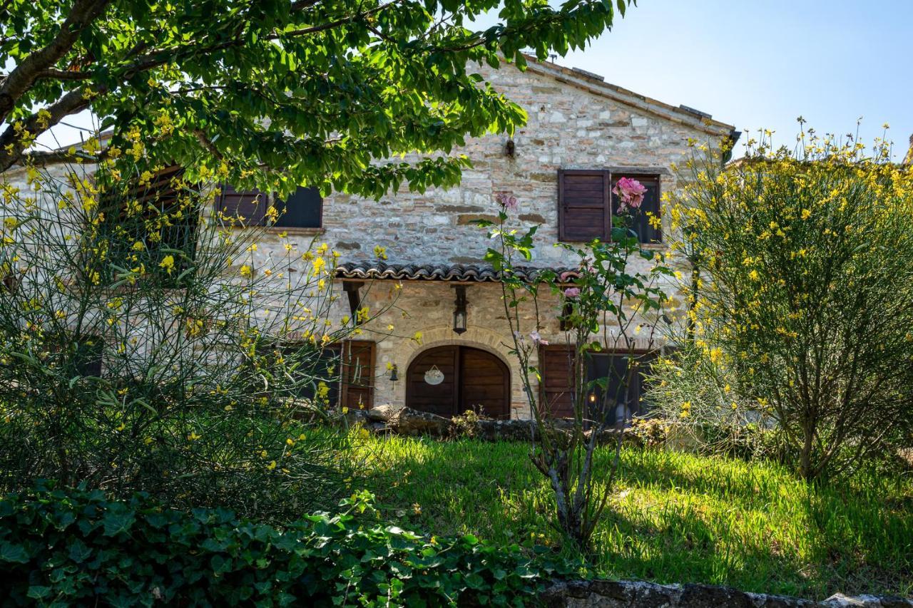 Villa Rustica Le Piagge Sassoferrato エクステリア 写真
