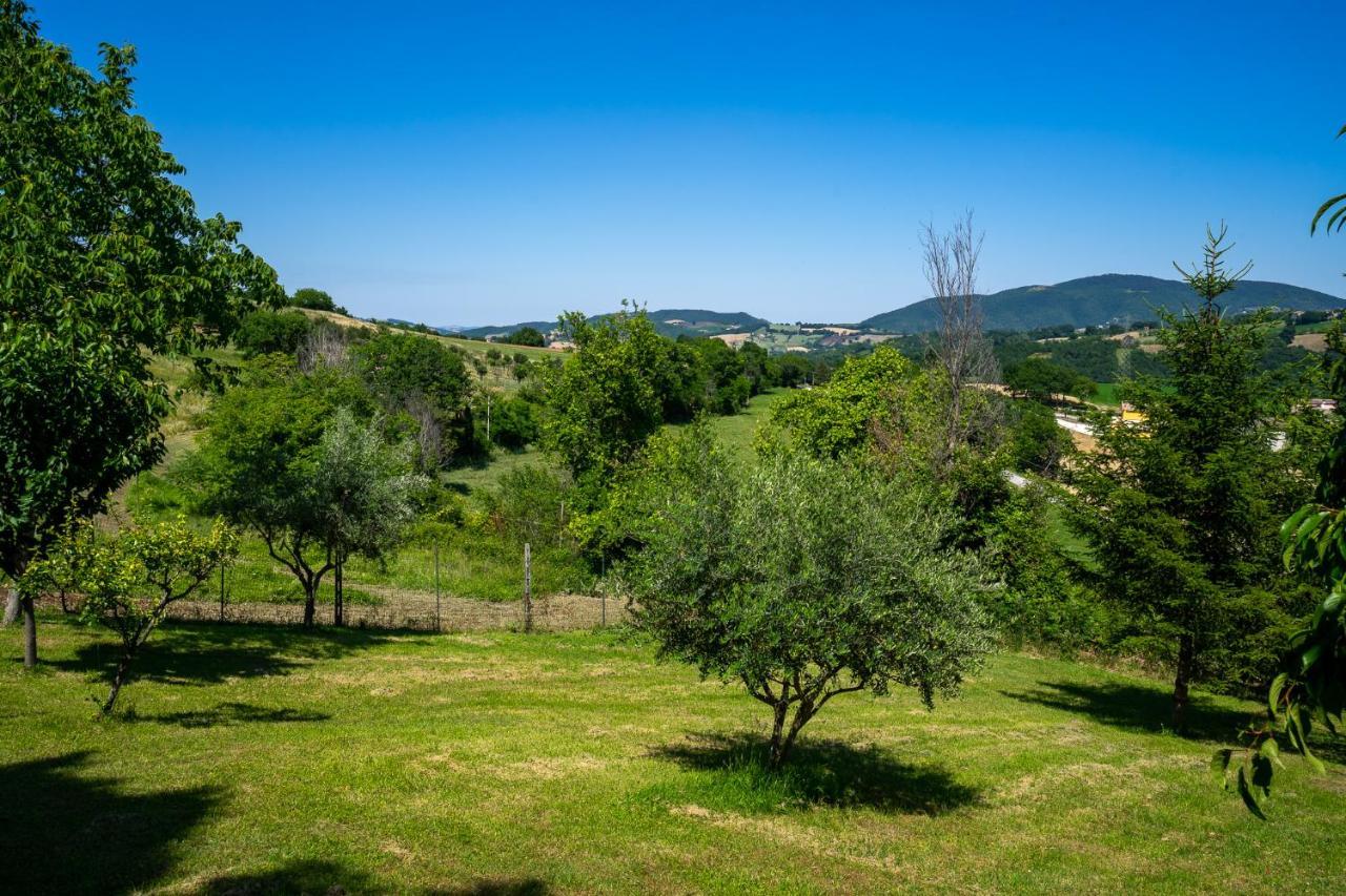 Villa Rustica Le Piagge Sassoferrato エクステリア 写真